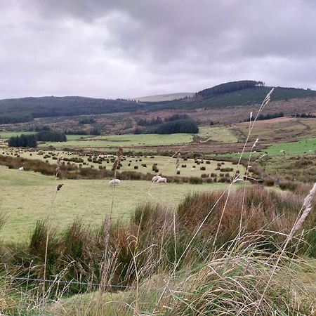Felicity Cottage Kiltegan ภายนอก รูปภาพ