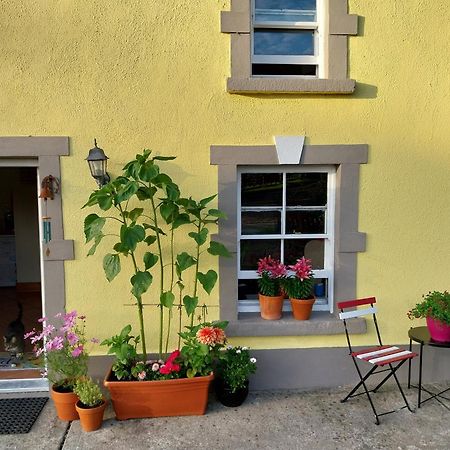 Felicity Cottage Kiltegan ภายนอก รูปภาพ