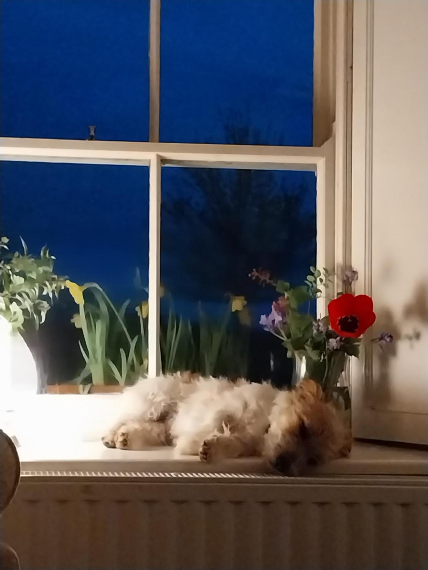 Felicity Cottage Kiltegan ภายนอก รูปภาพ