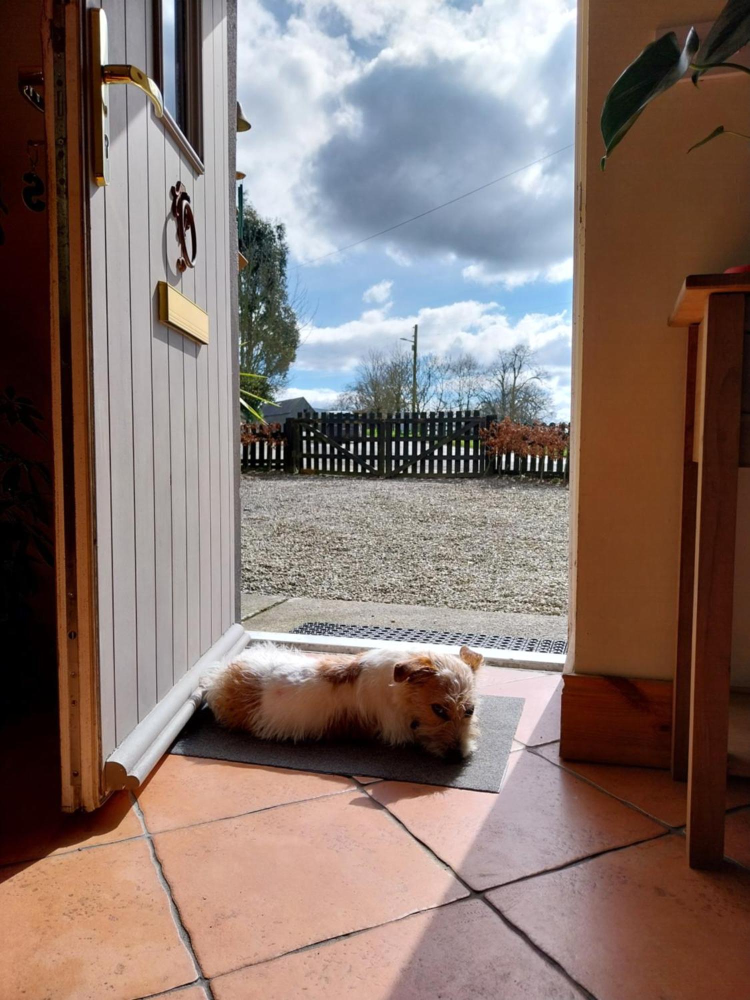 Felicity Cottage Kiltegan ภายนอก รูปภาพ
