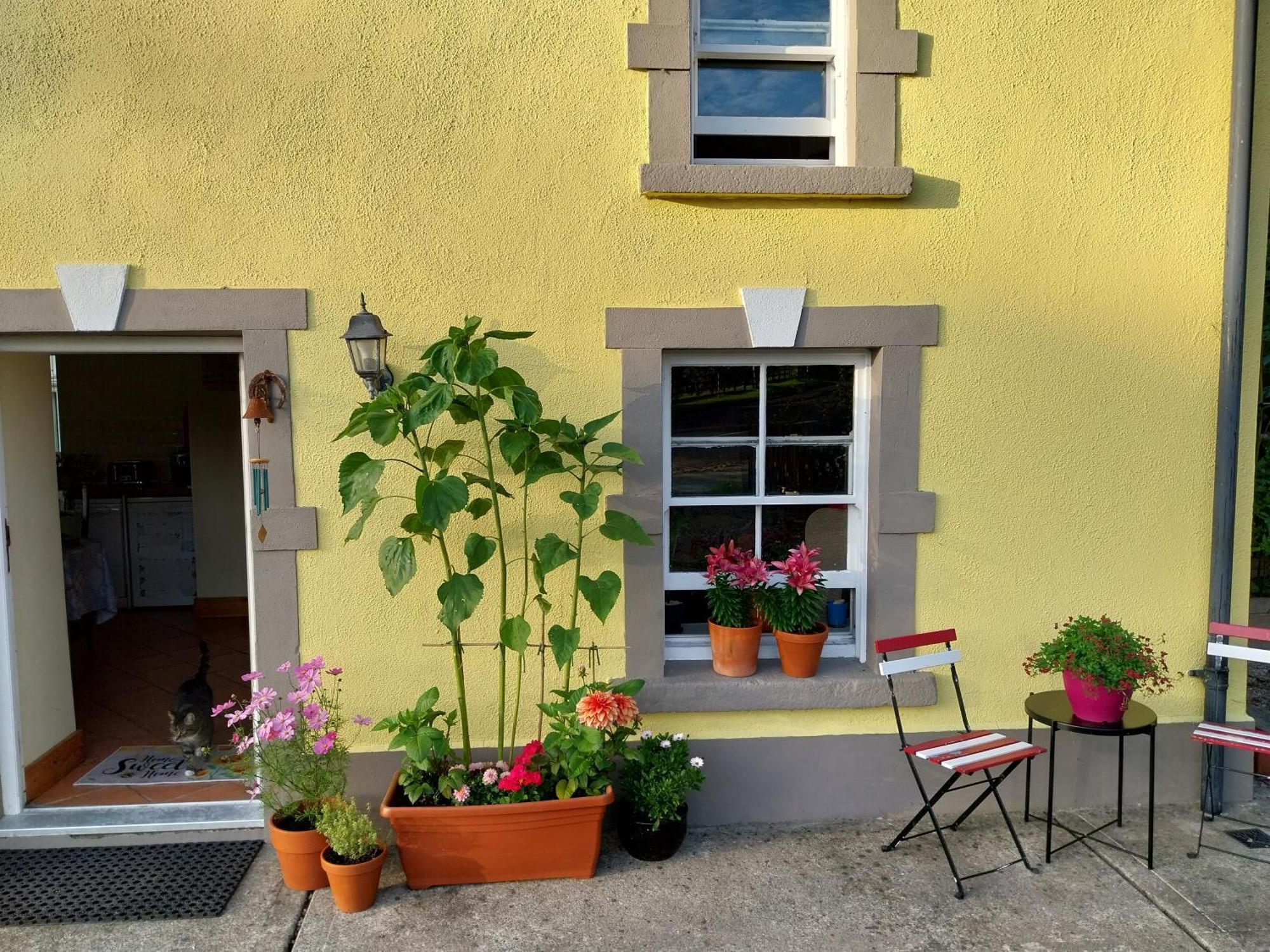 Felicity Cottage Kiltegan ภายนอก รูปภาพ